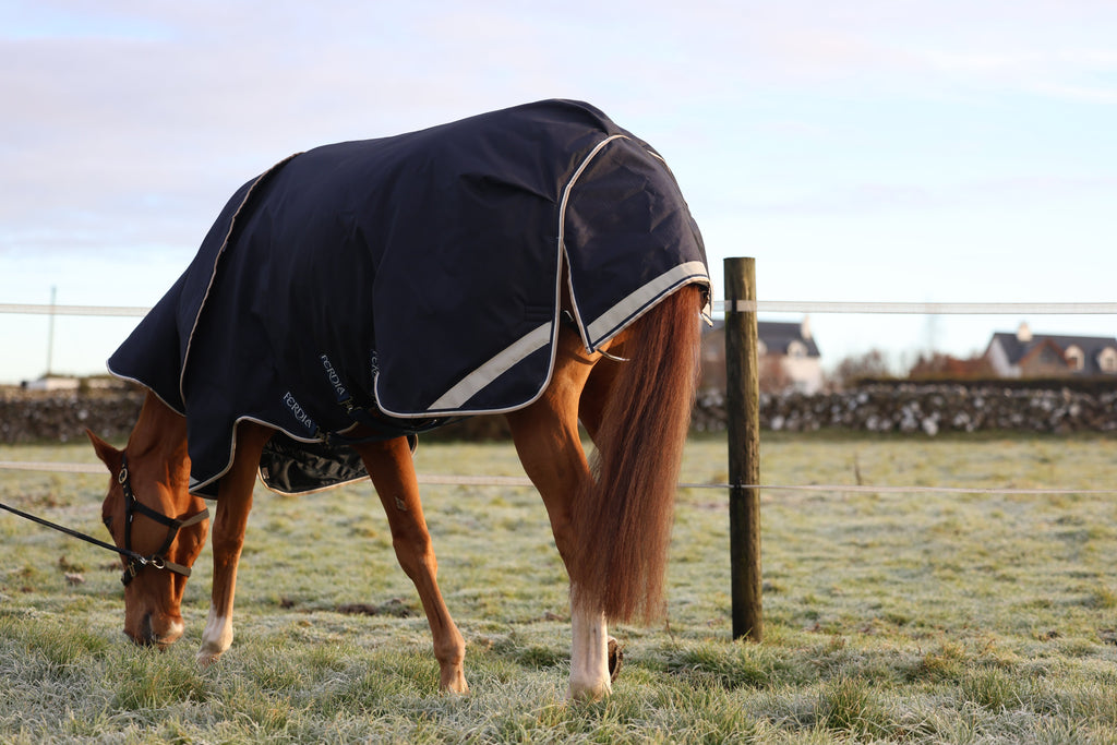 What Type of Horse Rug is Best for Summer? A Guide from Ferdia Equine