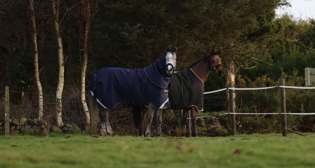Ride in Style and Comfort with Ferdia Equine’s Premium Equestrian Gear
